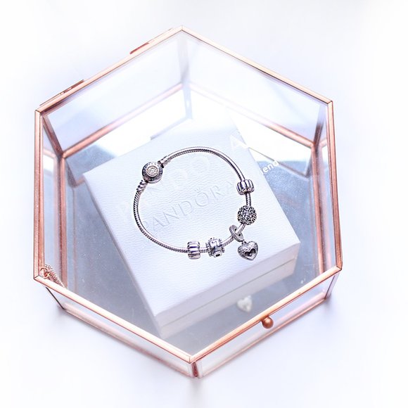 Pandora’s Mother’s Day themed charm bracelet NWOT - Picture 2 of 4